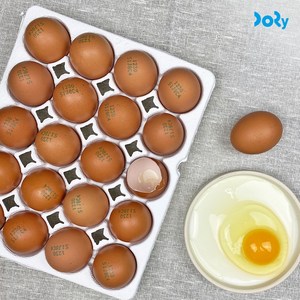 전북 김제 산지직송 신선 계란 달걀 일반란, 1개, 30구