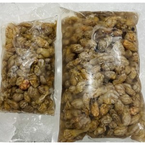 국내산 산지직송 생물 오만둥이 오만디 미더덕 1kg 2kg 5kg, 1개, 1kg(생물)