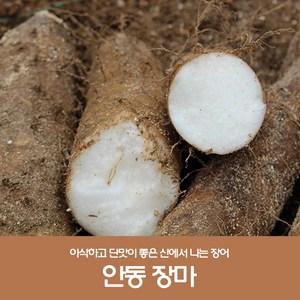 산지직송 안동마 햇마 안동장마 마 생마 장마, 1박스, 알뜰 5kg