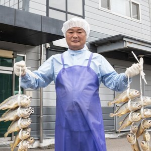 왕특대 민길이 일반굴비 부세 22cm 비늘제거, 1박스, 굴비 10미