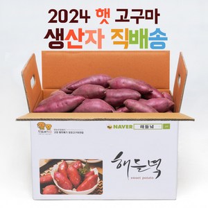 산지직송 해들녘 무농약 고창 꿀 고구마 3kg 5kg 10kg (한입/중/특상/왕), 해들녘고구마 5kg (한입 사이즈), 1개