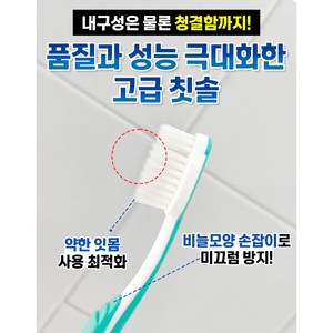 (푸로덴트한국대리점) 독일명품 PURODENT 미세모칫솔 2024년신상품 Supe sensitive 입고! 12개(블루3개 민트3개 오렌지3개 레드3개) 발송, 1개, 12개입