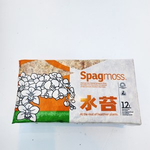 뉴질랜드 수태 150g spagmoss