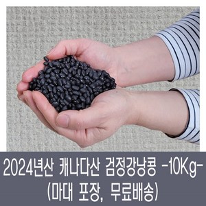 [다온농산] 수입 캐나다산 검정강낭콩[흑양대/흑동부] -10Kg- (마대), 1개