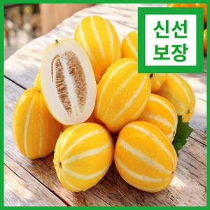 [최상급특선] 꿀맛고당도 명품 성주 참외, 1박스, 1kg(로얄과)