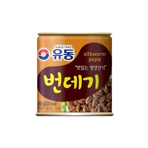 유동 번데기 280g, 20개