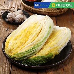 더조은 HACCP 풍산 절임배추 10kg, 1개