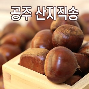 공주밤 정안밤 햇밤 알밤 산지직송, 공주밤 왕특, 1개, 2kg