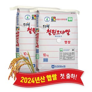 [당일도정] [동철원농협 직접운영] 2024년산 두루웰 철원오대 햅쌀, 10kg, 2개