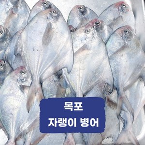 목포 국산 자랭이 병어 당일조업 산지직송, 1개, 2kg(구이조림손질)