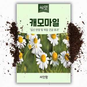 씨앗팜 허브 캐모마일 씨앗 (5000립), 1개