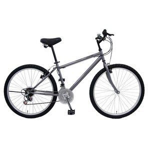 [삼천리자전거] 빅마운틴 21단 26 생활용 MTB 자전거 155cm~ 2025년형, 다크실버, 완전조립, 1개, 170cm