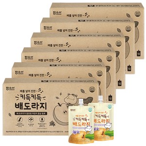 함소아 키득키득 배도라지 주스 100ml, 60개