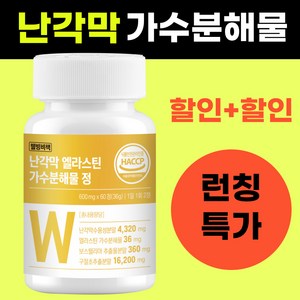 웰빙비책 난각막 가수분해물 구절초 HACCP인증, 1개, 60정