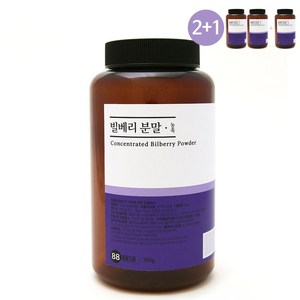 내몸생각 빌베리 대용량 300g 가루 분말 파우더 BILBERRY 2통 구매시1통 추가증정, 1개