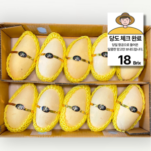 당도선별 태국산 골드 망고 남독마이, 4kg (10과내외), 1개