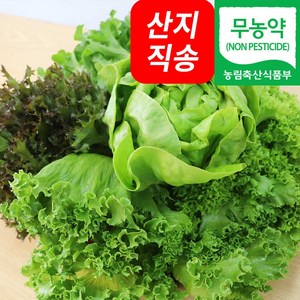 (자연마을) 친환경 무농약 유럽종 쌈채소 샐러드 채소 모듬쌈, 1개, 1kg (7~8종류)