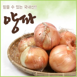 아빠의 마음 국내산 양파 3kg 5kg 10kg, 10kg(대품), 1개