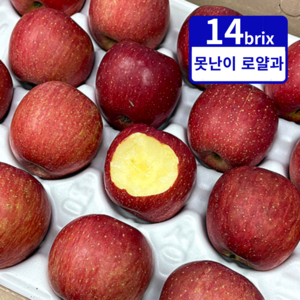 [가격파괴] 못난이 사과 5KG 초특가, 1개, 5KG (14-21과내외)