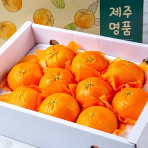 꿀당도 프리미엄 레드향 3kg 로얄과, 가정용 레드향(중대과), 1개