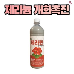 제라퀸 제라늄 개화촉진 비료 900ml 식물 영양제 관주 펠라고늄 데니스, 1개