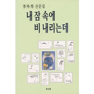 내 잠 속에 비 내리는데:이외수 산문집, 동문선