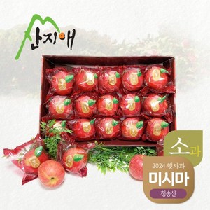 씻어나온 어린이 꿀사과 2.7kg 1box / 봉지 세척사과 당도선별 12bix, 없음