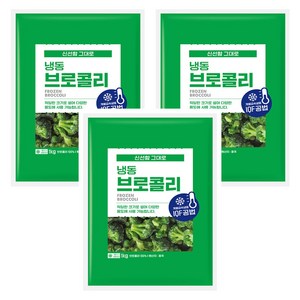 대상유통 냉동 브로콜리 1kg x 3봉지, 3개