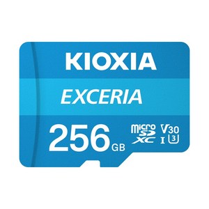 키오시아 EXCERIA 마이크로 메모리 카드 홈캠 블랙박스 CCTV SD LMEX2L256GG4, 256GB, 1개