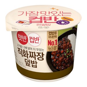 CJ제일제당 햇반 컵반 직화볶음 짜장덮밥, 280g, 10개