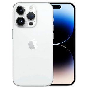 Apple 정품 아이폰 14 Pro 자급제, 실버, 256GB