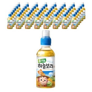 웅진 유기농 하늘보리차, 보리차, 200ml, 48개