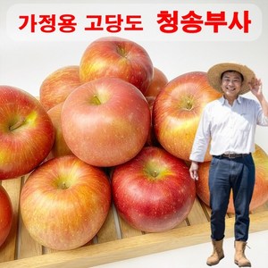 [농장직송]경북 꿀통 부사사과 가정용 고당도 햇사과, 1박스, 5kg