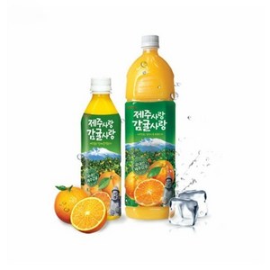 롯데 제주사랑 감귤사랑 1.5Lx12펫, 1.5L, 12개