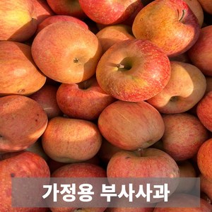 초특가 산지직송 금메달농수산 가정용 못난이 흠집 부사 사과, 1개, 2kg 8-9과