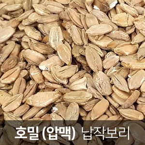 [진도장모와서울큰사위] 압맥 호밀 납작보리 1kg 먹기편한 잡곡 고흥 산지직송, 1개, 2kg