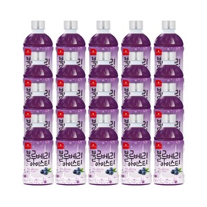 웰그린 스위츠 블루베리아이스티, 20개, 340ml