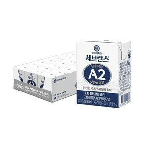 연세 세브란스 A2 단백우유 125ml 48팩, 48개