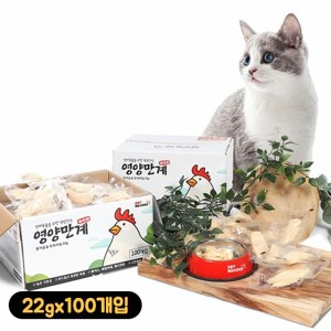 펫모닝 영양만계 닭가슴살 22g x 100개입, 100개