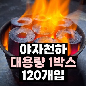 [에코카보닝 대용량120개입 야자천하] 캠핑용 바베큐 구이용 야자숯 대용량 1박스 120개세트, 1개