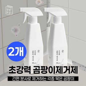 살림보감 초강력 곰팡이 제거제 벽지곰팡이제거 베란다 벽 곰팡이제거 화장실 욕실 창틀 곰팡이 청소세제 결로방지, 2개, 550ml