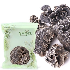 동의한재 국산 운지버섯 구름버섯, 500g, 1개