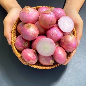 수작업 선별 아삭아삭 맛있는 샬롯 모충 미니양파 Shallot, 중국 샬롯 모충 2kg, 1개