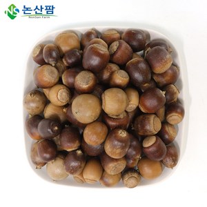 햇 국산 상수리 열매 1kg 도토리, 상수리열매 1kg, 1개