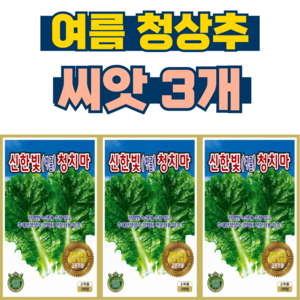여름상추씨앗 3개 청 치마 청 상추 씨앗 씨 종자