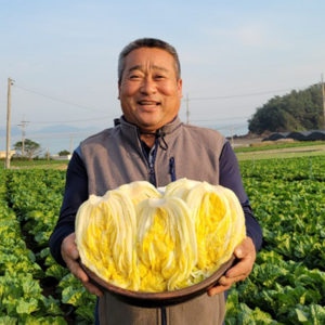 해남 절임배추 20kg 절인배추, 12월 수령 (수령희망일을 필수추가정보에 입력필수), 1개