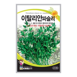 이탈리안파슬리씨앗 200립 향나물 파슬리 씨앗 종자, 1개