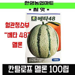 칸탈로프멜론 베타48 100립 SOD 황산화 프랑스멜론 주황멜론 씨앗 종자, 1개