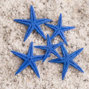[엠디자인] 블루 불가사리 5P 세트