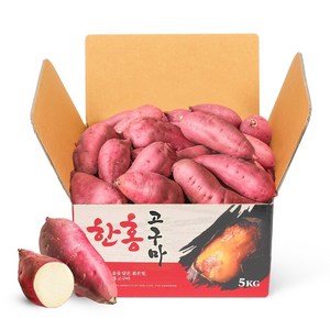 꿀고구마 대사이즈 5kg/10kg 베니하루까 모양좋은 산지직송 특대 10kg (3... 1박스, 1개